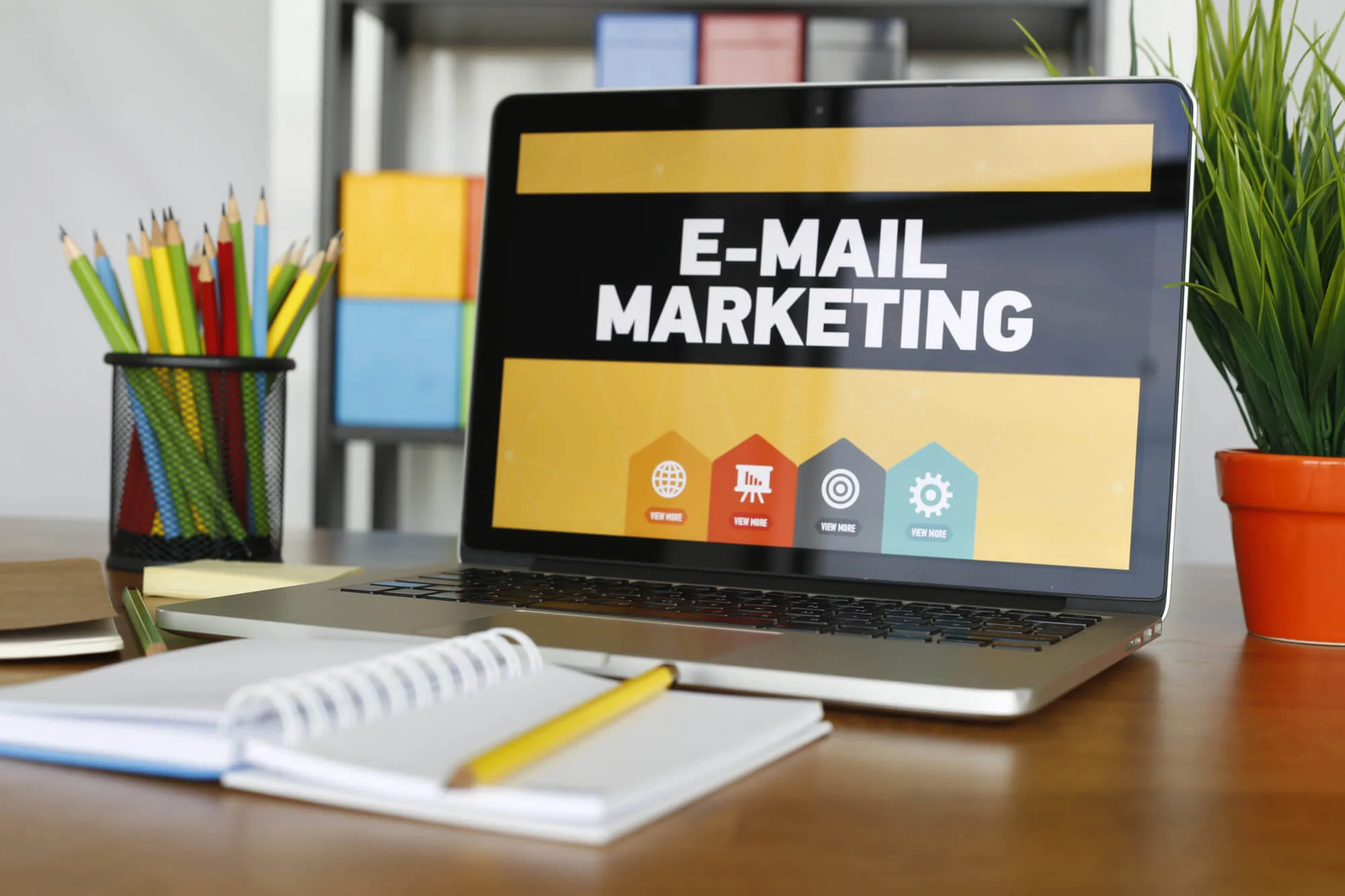 Email Marketing in Jalandhar