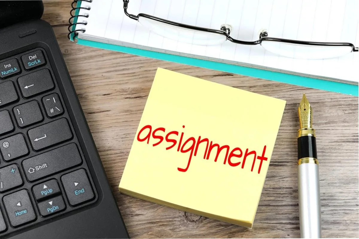 IT Assignment Services in Jalandhar IT Assignment Services in Jalandhar
