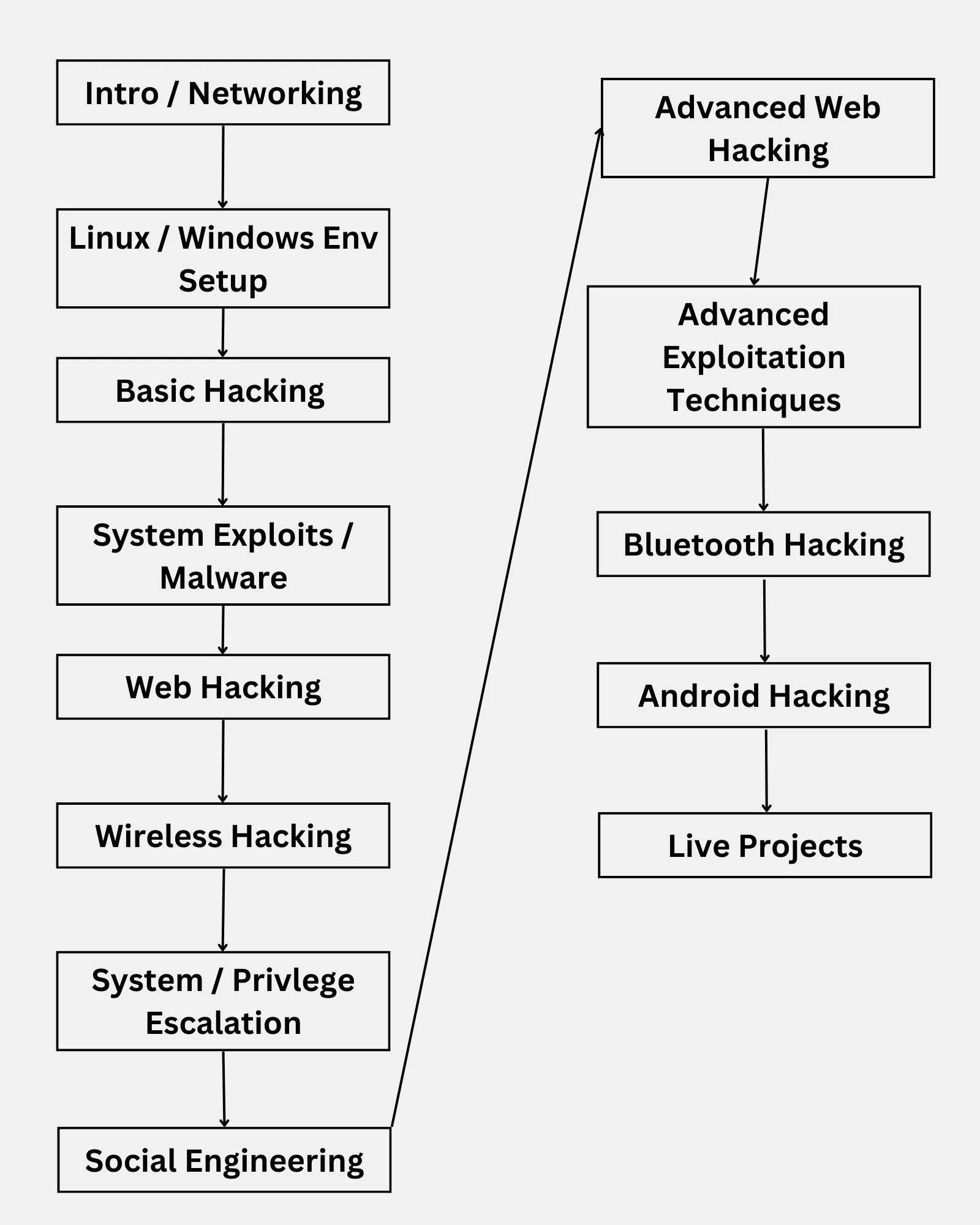 Ethical Hacking Course in Jalandhar