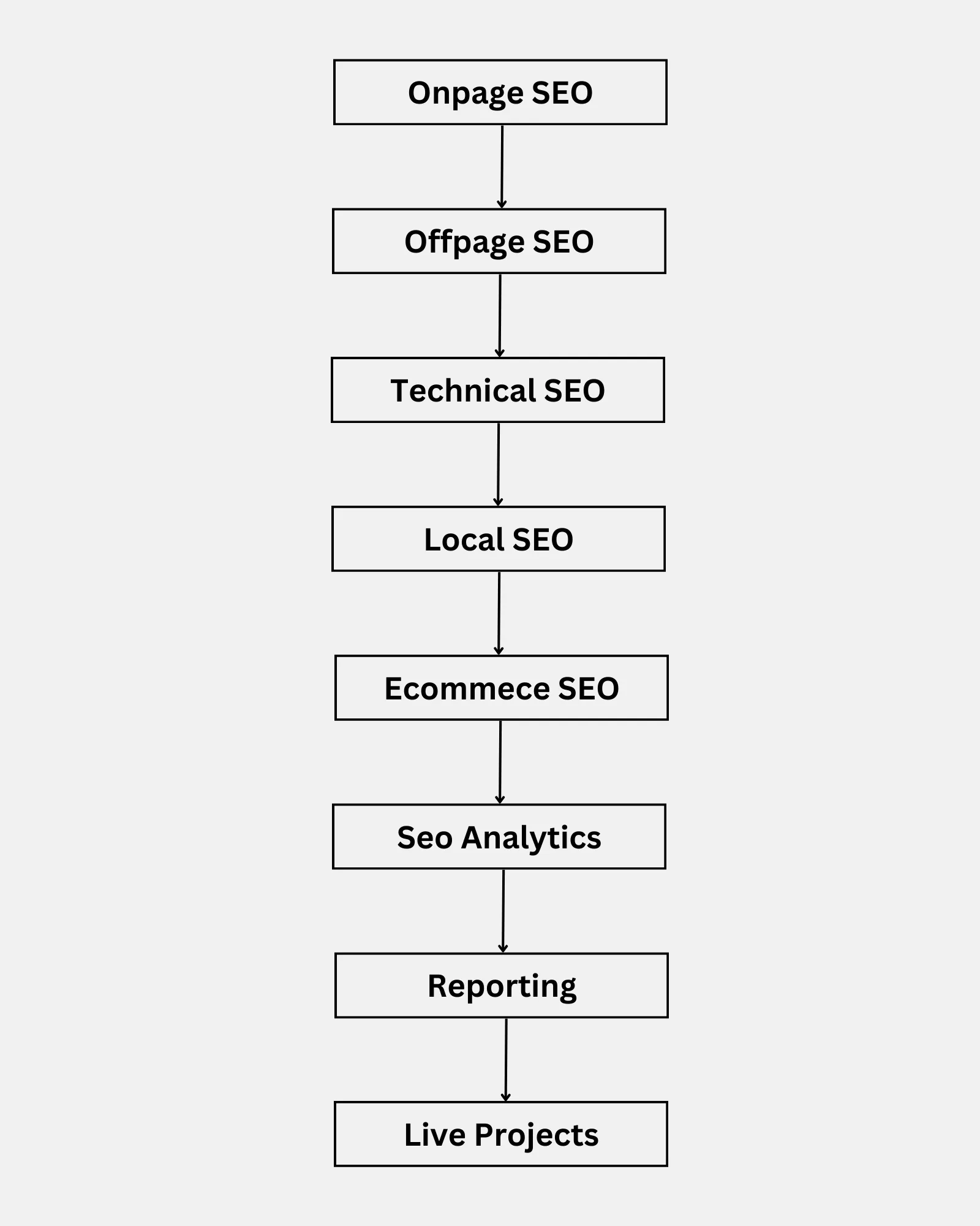 SEO Training Institute in Jalandhar